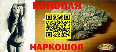 Альфа ПВП Ярославль