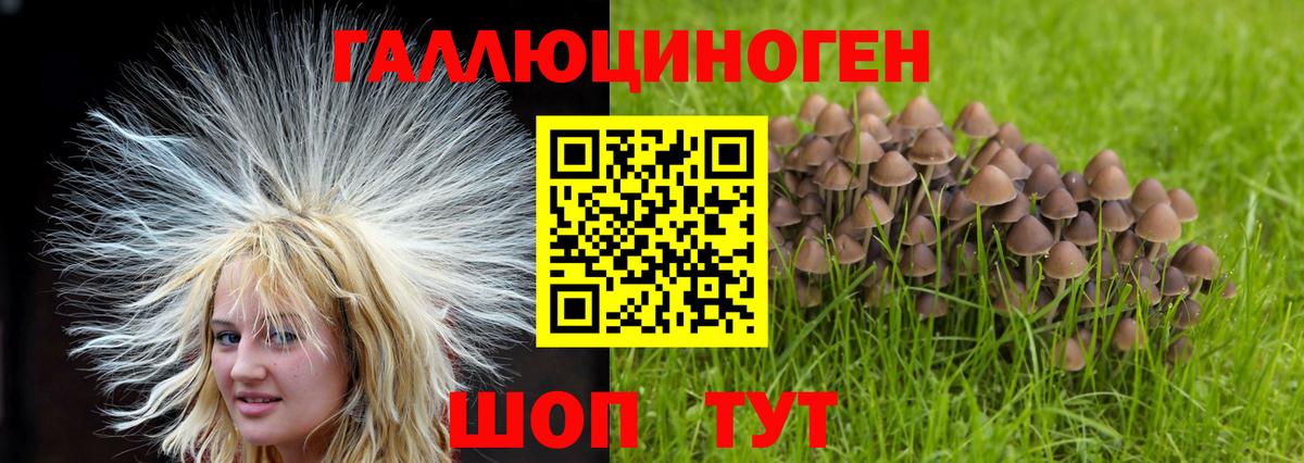 Псилоцибиновые грибы прущие грибы  Вход с VPN  Аргун  Галлюциногенные грибы мухоморы 